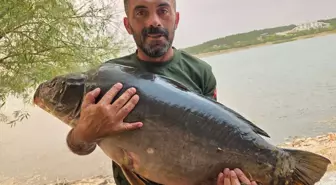 Bilecik'te 28 Kilogramlık Sazan Avı Yapıldı
