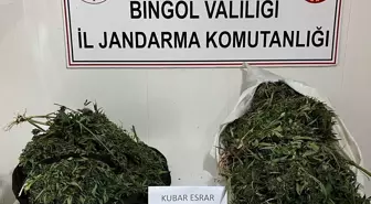 Bingöl'de Uyuşturucu Operasyonu: 17 Kilo Esrar Ele Geçirildi