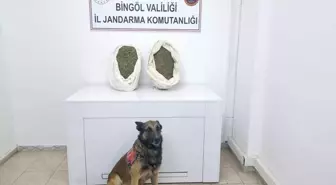 Bingöl'de 9 Kilo 892 Gram Esrar Ele Geçirildi