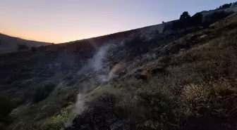 Bingöl'ün Genç İlçesinde Orman Yangını Kontrol Altına Alındı