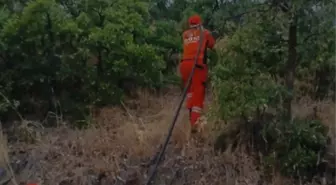 Bingöl'ün Kiğı İlçesinde Orman Yangını Kontrol Altına Alındı