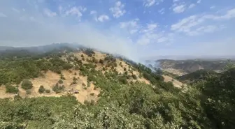 Bingöl'de Orman Yangınına Havadan ve Karadan Müdahale