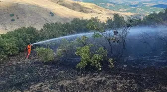 Bingöl Kiğı'da Meşelik Alandaki Yangın Söndürüldü
