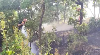 Bingöl'de Orman Yangını Söndürüldü