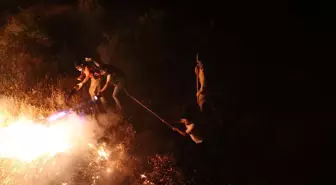 Bingöl'de Orman Yangını Söndürüldü
