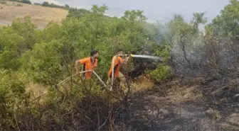 Bingöl'de Orman Yangını Kontrol Altına Alındı