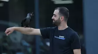 Motosiklet Teknisyeninin Kargası 'Şimşek' ile Dostluğu Görenleri Şaşırtıyor