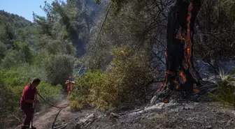 İzmir'de Orman Yangını ile Canla Bağlı Mücadele