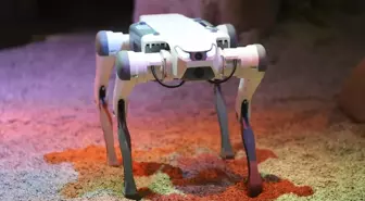 ASELSAN İştiraki BİTES, IDEF 2025'te Robot Köpek Çözümlerini Sergiliyor