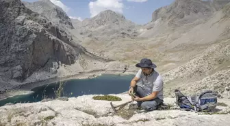Tunceli'nin Dağlarında 5 Yeni Bitki Türü Keşfedildi