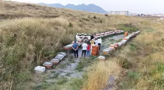 Bitlis Eren Üniversitesi'nde Bal Hasadı Yapıldı