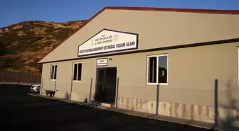 Bitlis'te Sokak Hayvanları için Geçici Bakımevi Açıldı