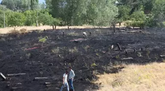 Ahlat'taki Mezarlıkta Çıkan Yangın Kontrol Altına Alındı