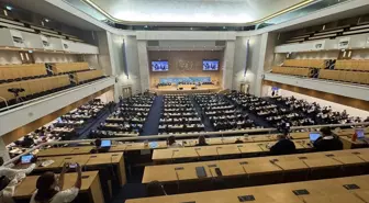 BM İnsan Hakları Yüksek Komiseri Türk'ten İsrail'e Sert Uyarı