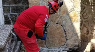 Bodrum'da Mahsur Kalan Kedi Kurtarıldı