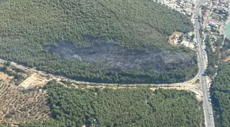 Bodrum'daki Orman Yangını Kontrol Altına Alındı