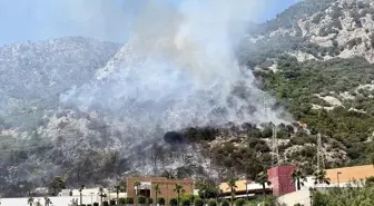 Bodrum'da Orman Yangını Kontrol Altına Alınmaya Çalışılıyor