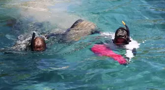 Bodrum'da Deniz Dibi Temizliği: 98 Kilogram Atık Toplandı