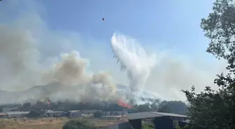 Bodrum'da Tarım Alanına Sıçrayan Yangına Mücadele