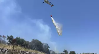 Bodrum'da Tarım Arazisinde Yangın Söndürüldü
