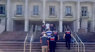 Bodrum'da Uyuşturucu Operasyonu: 2 Tutuklama