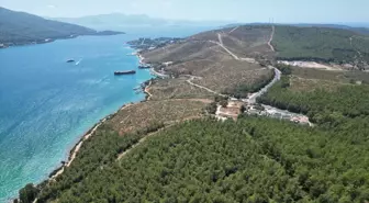 Bodrum'da Orman Yangını Sonrası Ağaçlandırma Çalışmaları Başarıyla Devam Ediyor