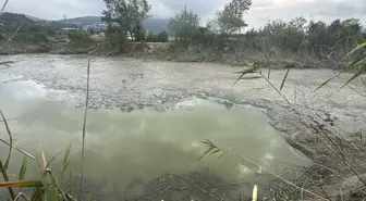 Bolu'da Balık Ölümleri Üzerine İnceleme Başlatıldı