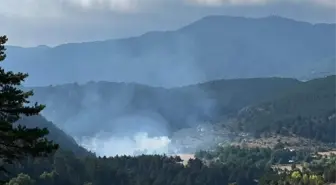Bolu'da Çalılık Alanda Çıkan Yangın Ormana Sıçramadan Söndürüldü