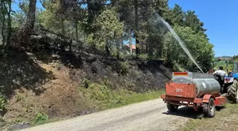 Bolu'da Orman Yangını Erken Müdahale ile Söndürüldü