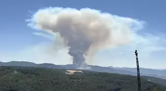 Bolu'da Orman Yangınına Hızlı Müdahale Başlatıldı