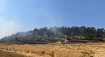 Bolu'daki Orman Yangını Kontrol Altına Alındı