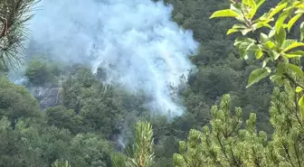 Bolu'da Orman Yangını Kontrol Altına Alındı