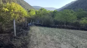 Mudurnu'da Çıkan Örtü Yangını Ormana Sıçramadan Söndürüldü