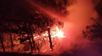 Mudurnu'da Tarım Arazisinde Yangın Kontrol Altına Alındı
