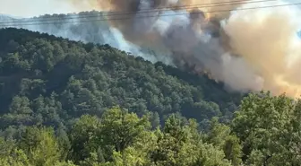 Bolu'da Orman Yangını: Söndürme Çalışmaları Devam Ediyor