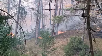 Mudurnu'da Orman Yangını: Havadan ve Karadan Mücadele Başlatıldı