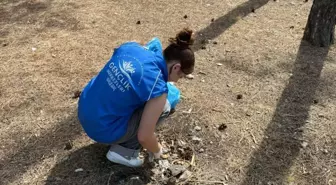 Boyabat'ta Gençlerden Çevre Temizliği Etkinliği