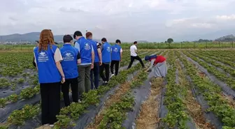 Boyabat'ta Gençler İçin Tarımda Girişimcilik Programı Düzenlendi