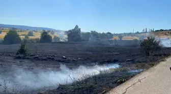 Bilecik'te Anız Yangını Kontrol Altına Alındı