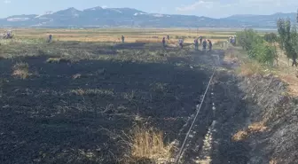 Burdur'da Yangın: Buğday Ekili 3 Dekar Arazi Zarar Gördü