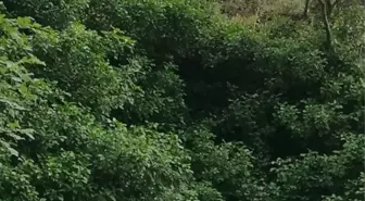 Burdur'da Kayalıklardan Düşen Kadın Hayatını Kaybetti