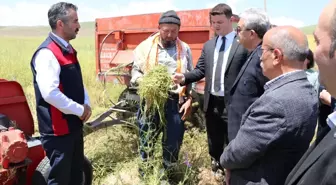 Burdur'da Az Su Tüketen Yem Bitkisi Hasat Edildi