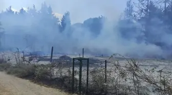 Burhaniye'de Otluk Alanda Yangın Kontrol Altına Alındı