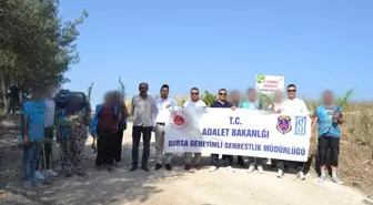 Bursa'da 15 Temmuz şehitleri anısına fidan dikildi