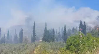 Bursa'da Tarım Alanında Başlayan Yangın Ormana Sıçradı