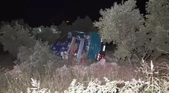 Bursa'da Zeytinliğe Devrilen Kamyonun Sürücüsü Yaralandı