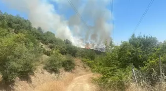Bursa'nın Yenişehir ilçesinde Orman Yangını Kontrol Altına Alınmaya Çalışılıyor