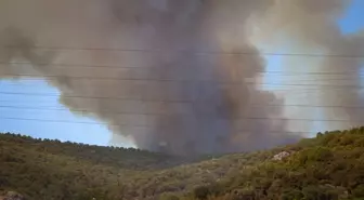 Bursa Yenişehir'de Orman Yangınına Hava ve Karadan Müdahale