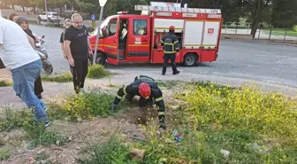 İnegöl'de İtfaiye Ekipleri Kuzu Kurtardı