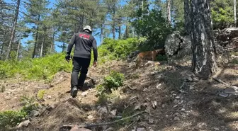 Bursa'da Kayıp Çocuk İçin Arama Çalışmaları Devam Ediyor